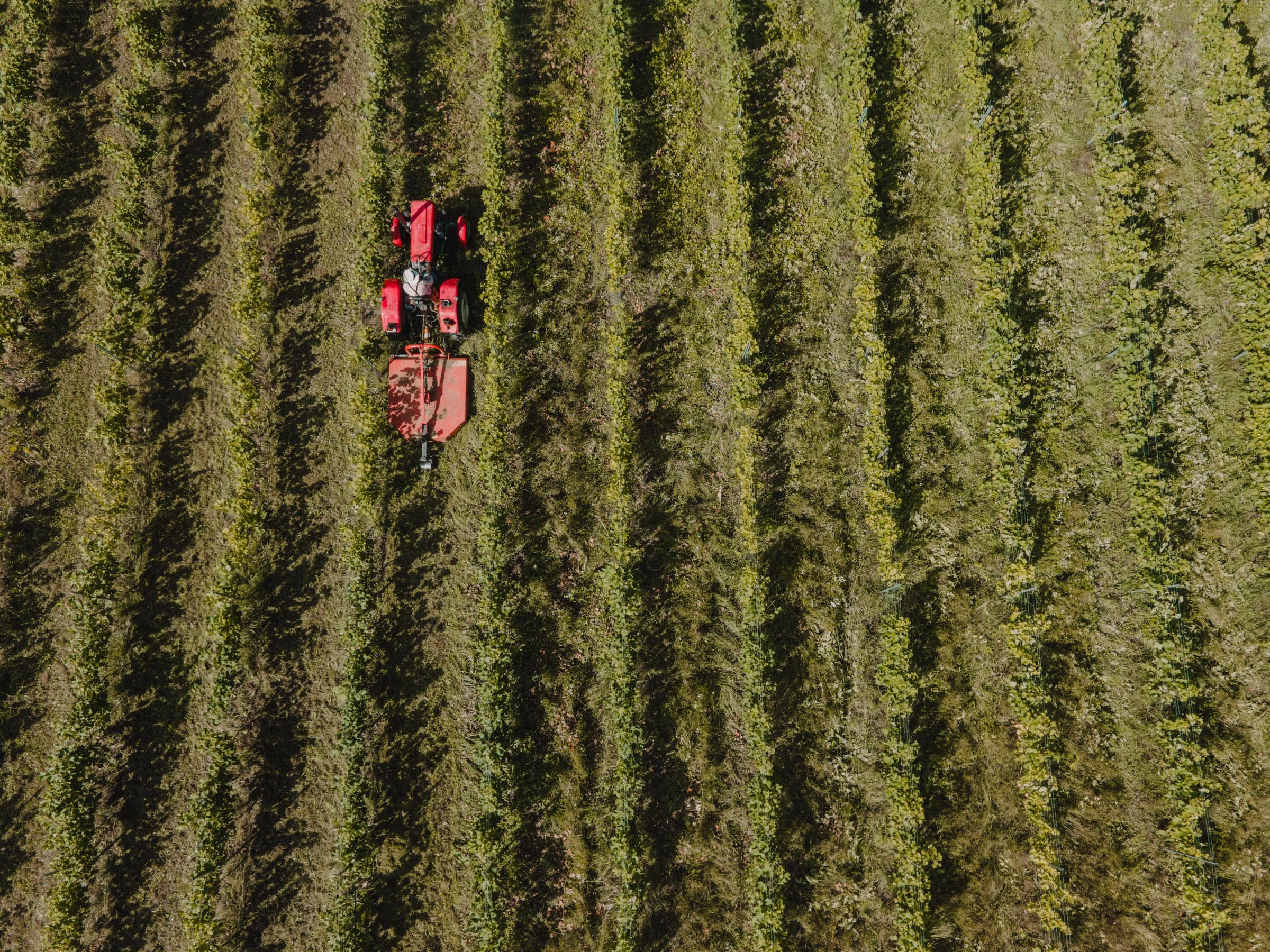 Krajobraz z lotu drona, fotografia plenerowa nieruchomości