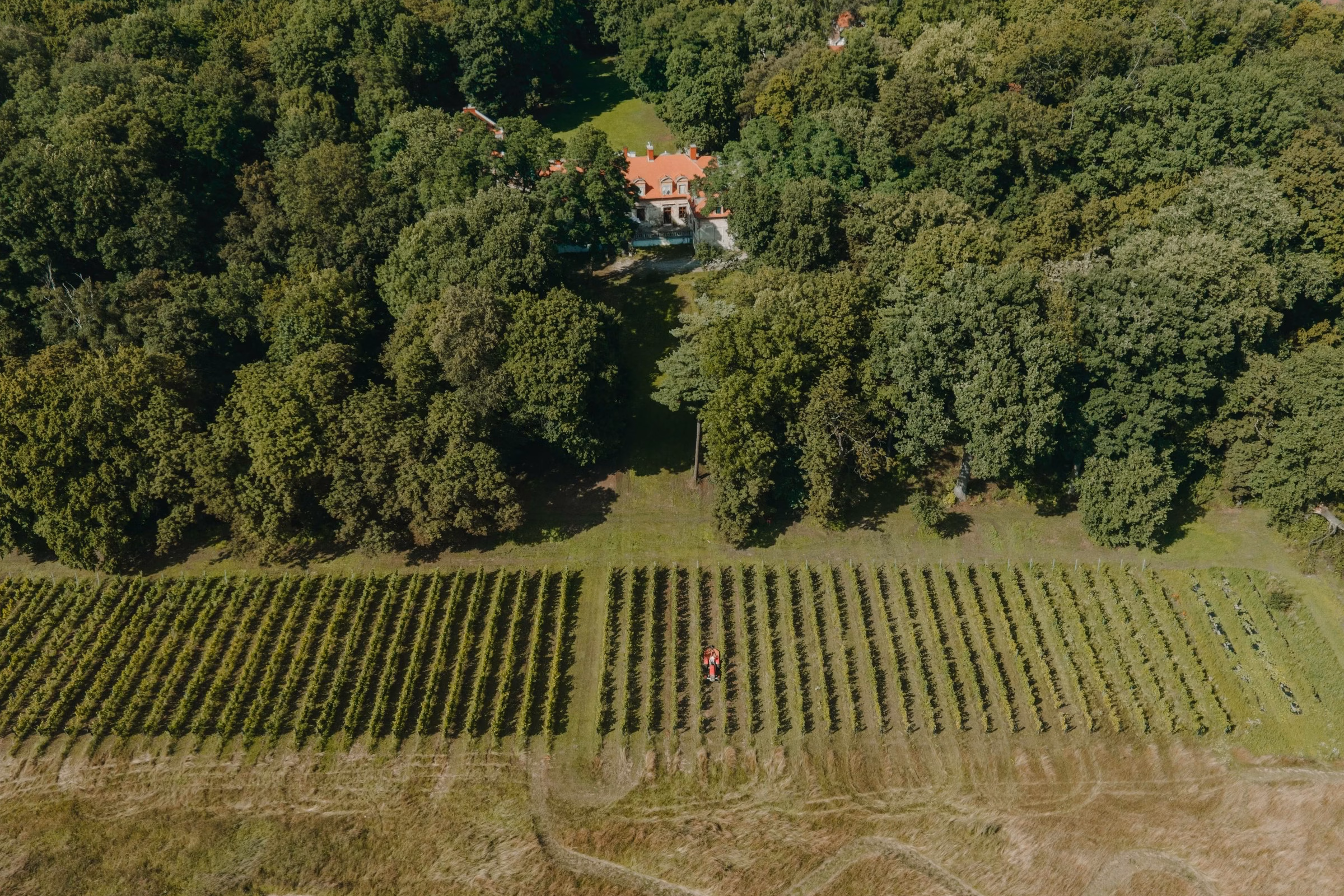 Posiadłość z lotu drona, kadr panoramiczny 3:2